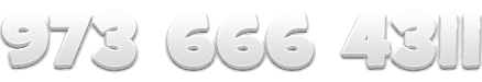 9736664311
